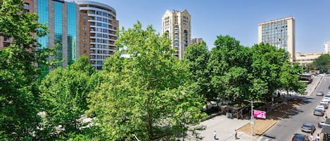 家庭公寓, 阳台, 公园景观 | 阳台景观