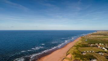 Sun loungers, beach towels