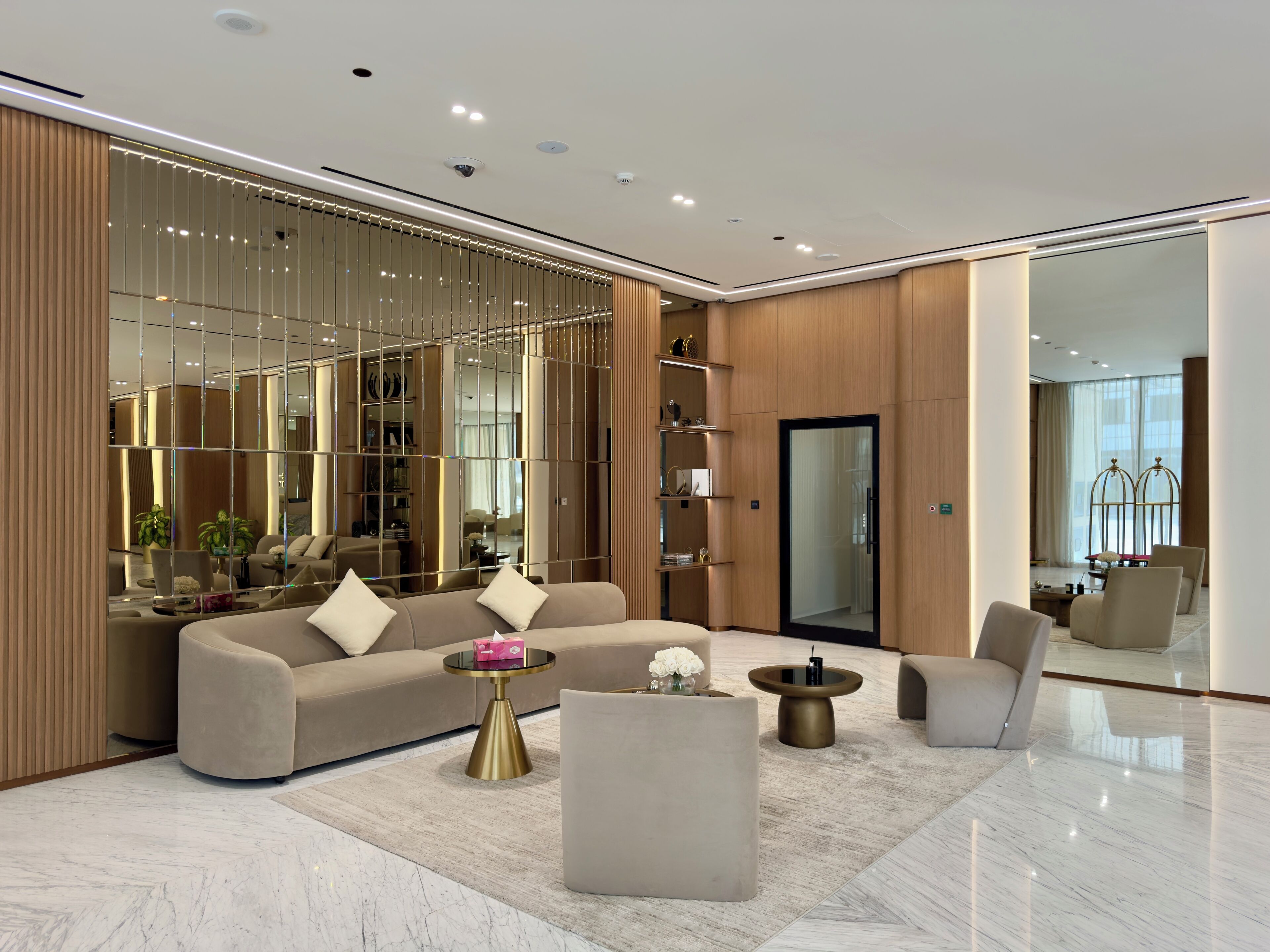 منطقة الاستقبال