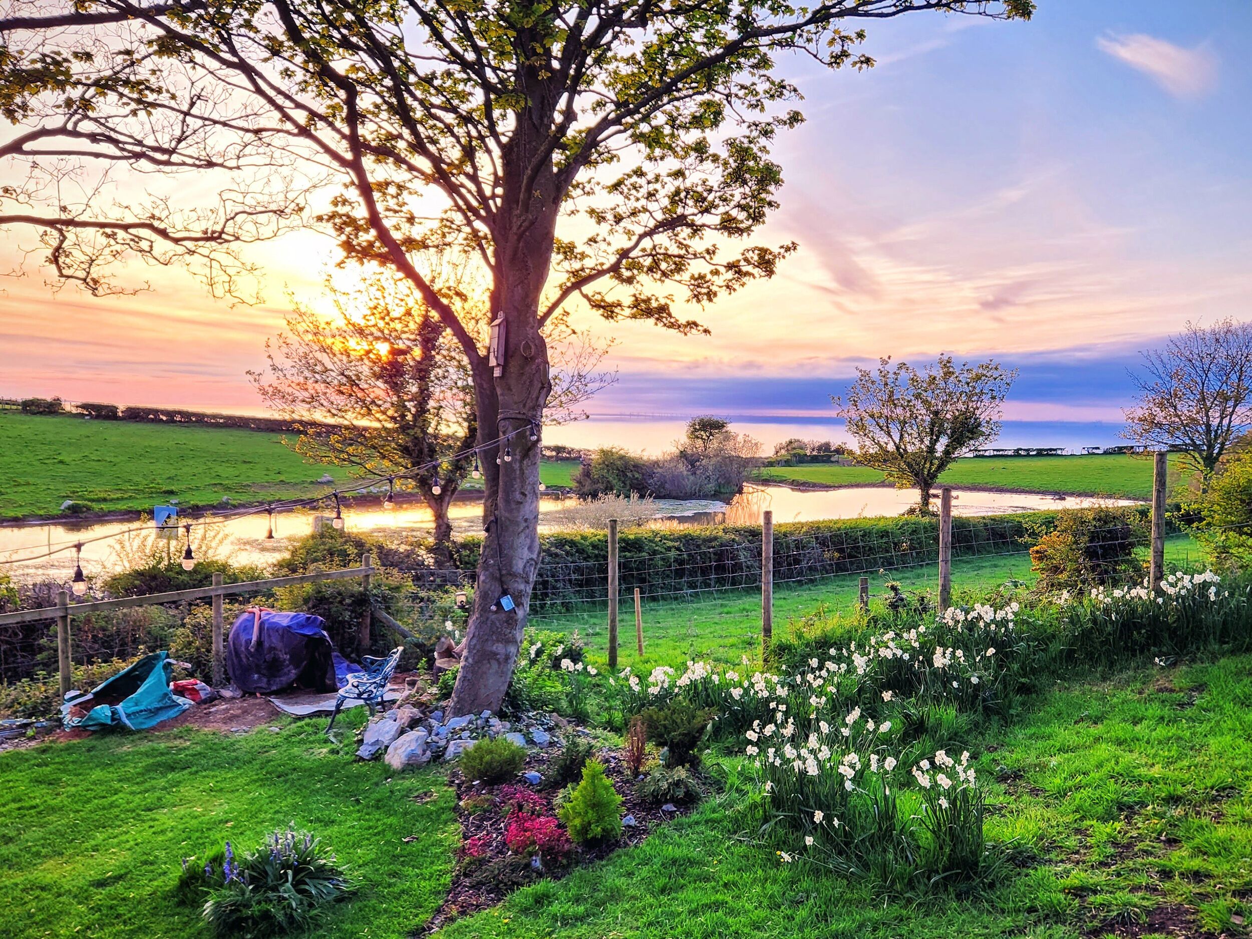 Khuôn viên nơi lưu trú