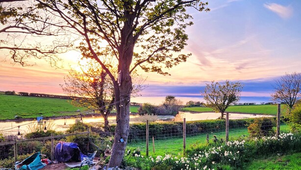 A garden with a large tree, a pond, and a fence. - Windyridge (Rhyl)