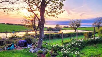 Khuôn viên nơi lưu trú