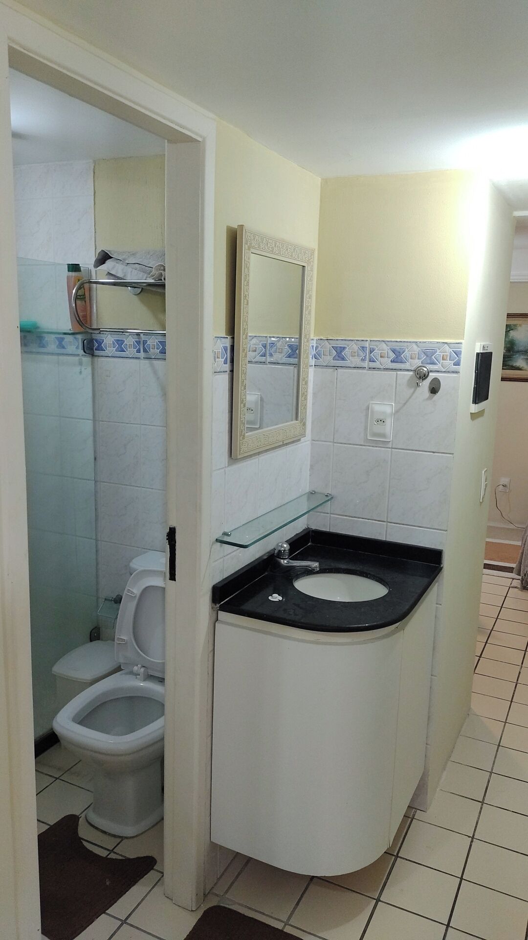 Chuveiro, toalhas de banho, papel higiênico 