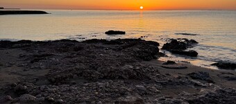 Apartment on the beach, disconnection, relaxation and close to everything (pet friendly).