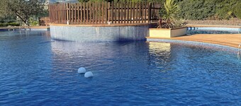 Apartment on the beach, disconnection, relaxation and close to everything (pet friendly).