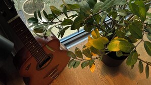 Uitzicht door een raam op een kamer met een gitaar, een potplant en een tafel met een witte parasol.