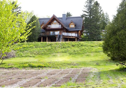 The log house