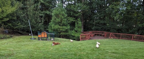 Newly renovated basement apartment suite with a secure private entrance.