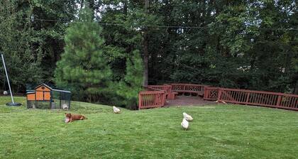 Newly renovated basement apartment suite with a secure private entrance.