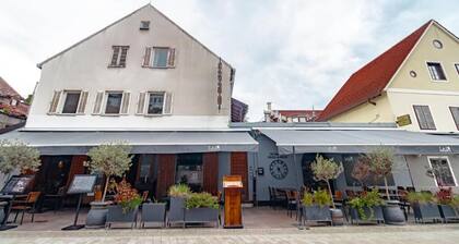 The Vlasta Collection