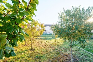 Property grounds - Guest Room - La Bonbonnière (Neuvic)