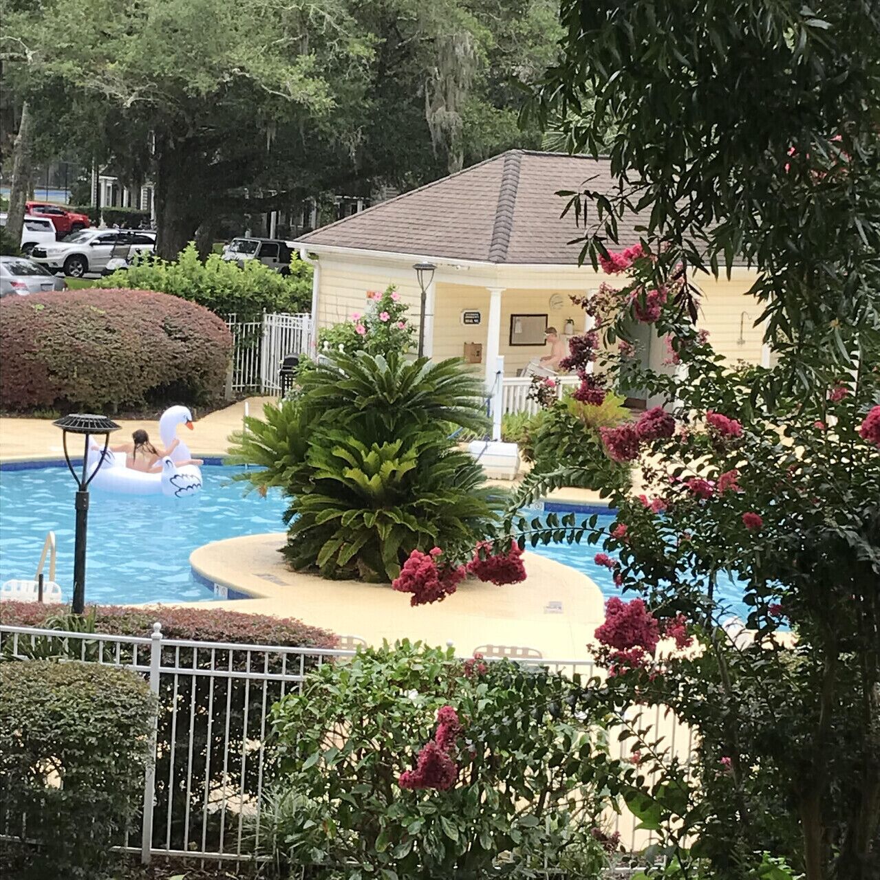 A swimming pool with a swan float, surrounded by lush greenery and a small building.