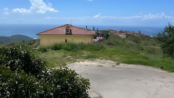 Imagen general