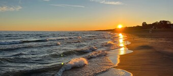 New Buffalo Sandcastle