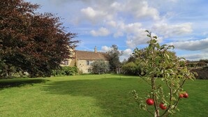 A grassy lawn with a house in the background and a tree with red apples in the foreground. - The Old Dairy (Chippenham)