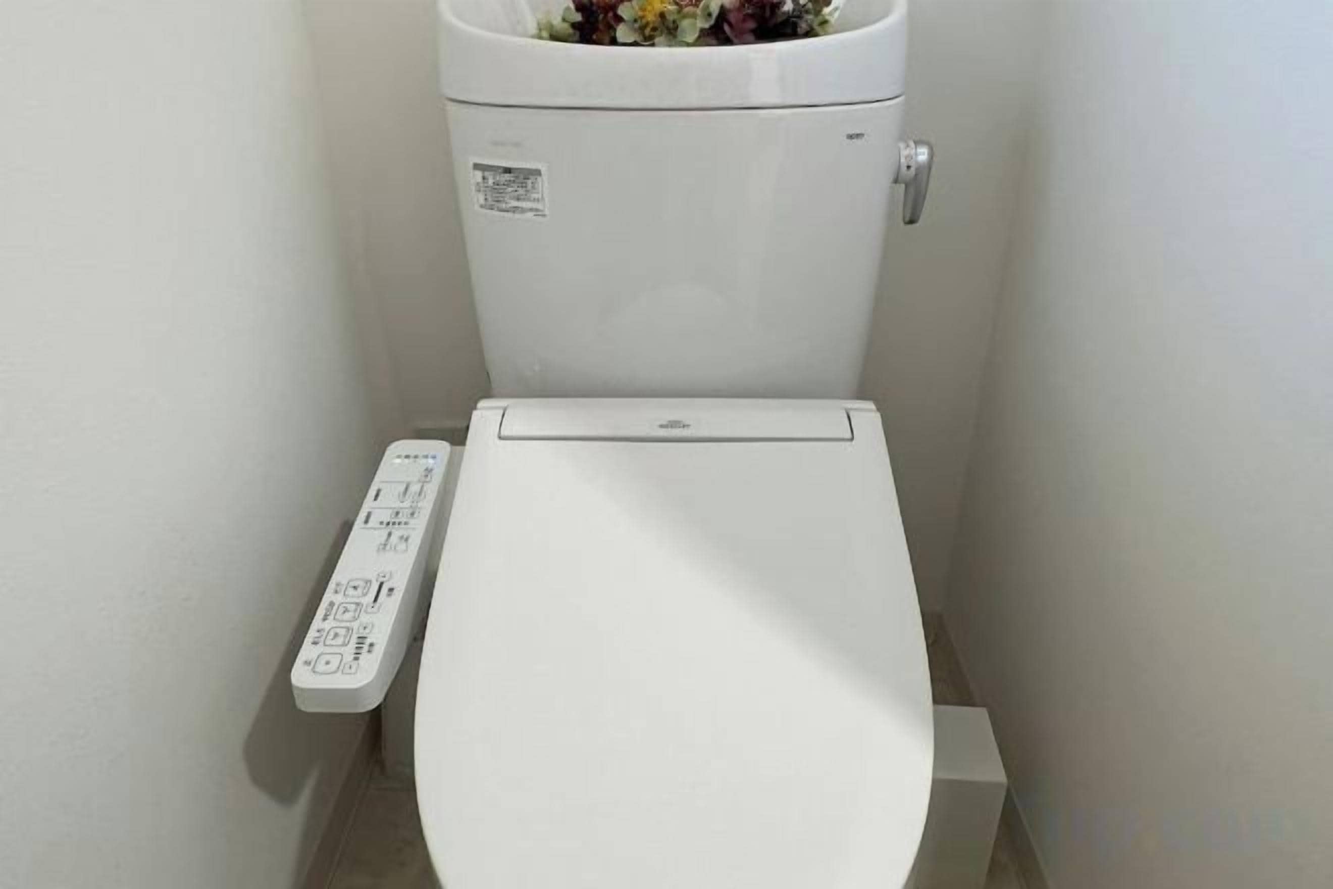 WC, jossa on ohjauspaneeli ja huuhtelupainike.