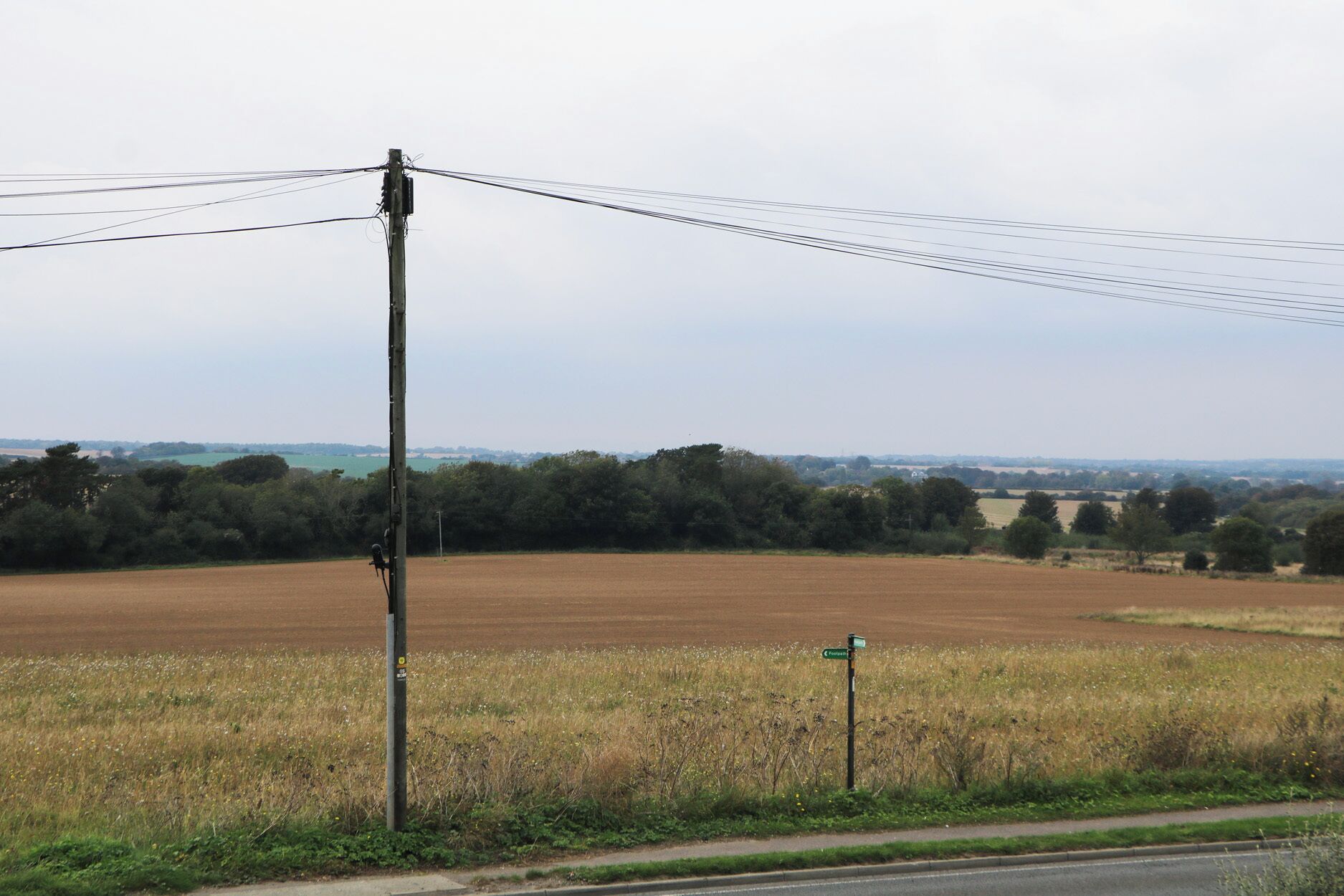 A rural landscape with a utility pole and overhead power lines.