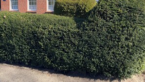 A brick building with a sloped roof, solar panels, and a hedge in front.