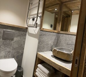 Shower, towels, toilet paper