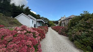 A gravel path flanked by pink hydrangea bushes leading to a white building with a gabled roof. - 1 Bed Cabin-sleeps 2, Hot Tub, Garden, Views, Pets (Callington)