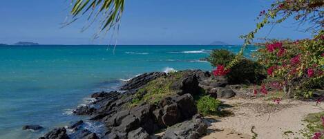 Plage, serviettes de plage