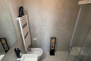 Shower, hair dryer, bidet, towels