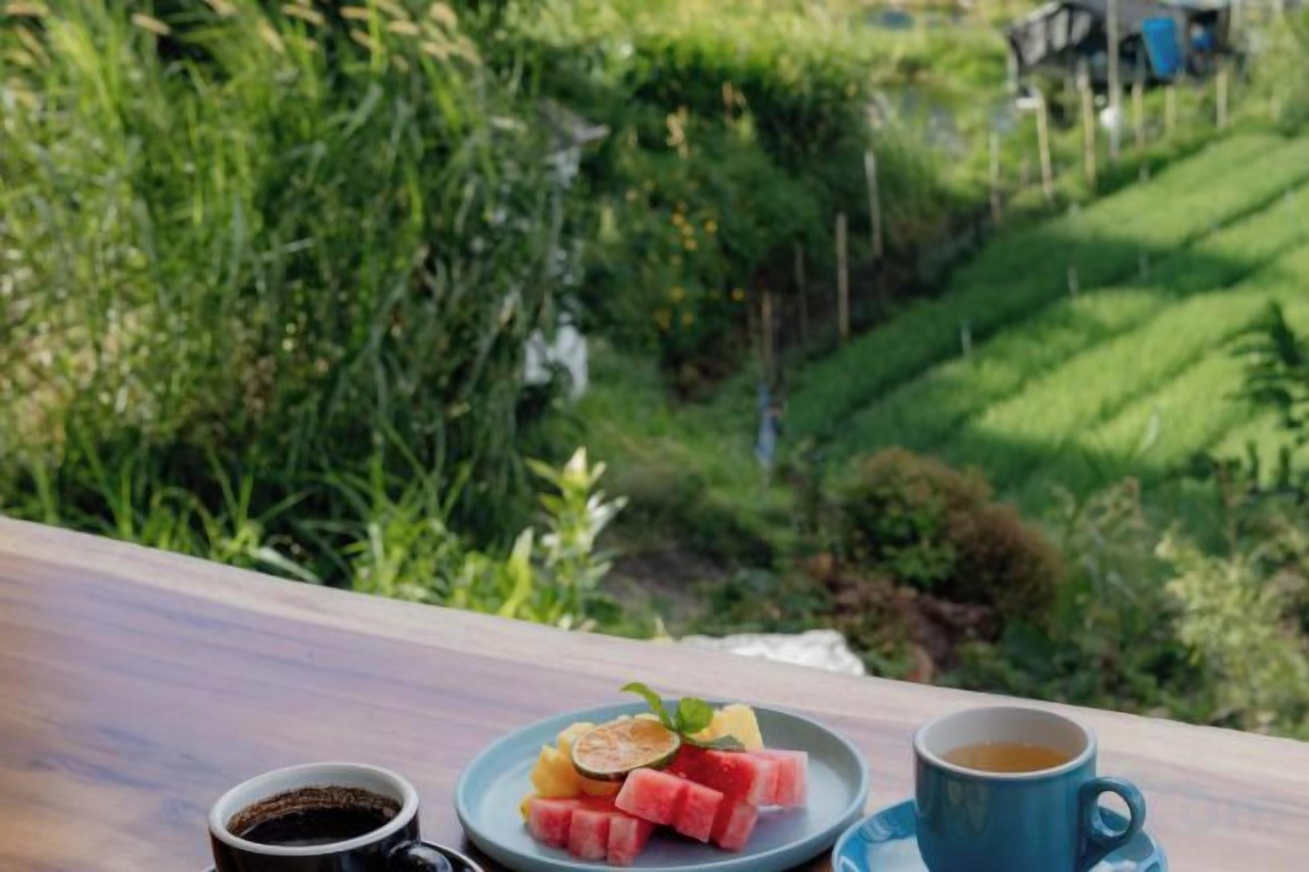 A table with a plate of watermelon and a cup of coffee, overlooking a lush green landscape.