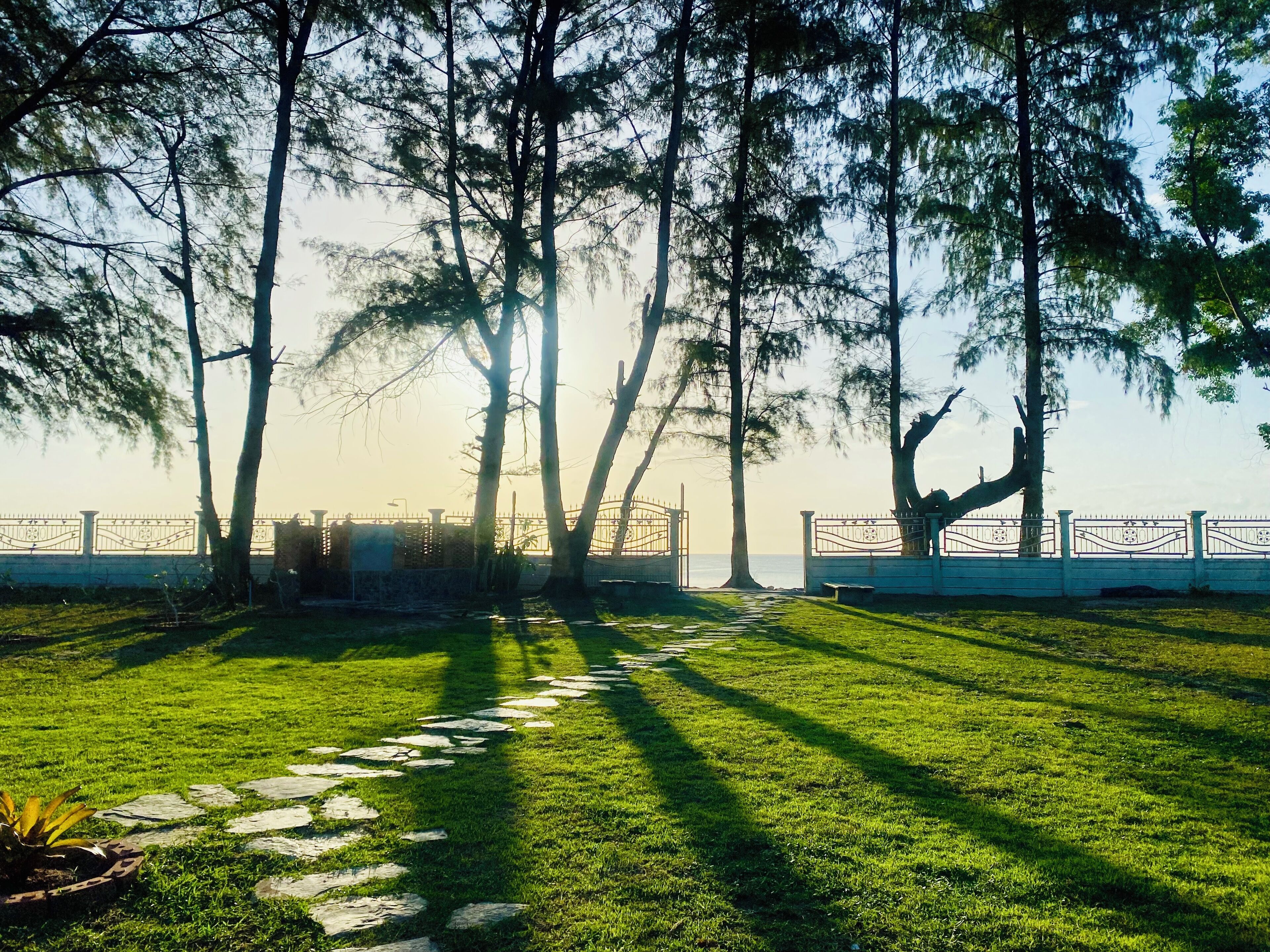 Àrea exterior de l'allotjament