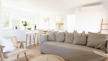 TV, fireplace, books