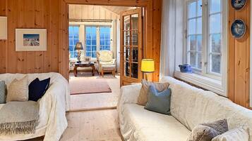 TV, caminetto, impianto stereo