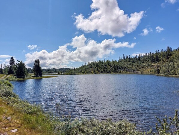 A calm lake surrounded by dense forest and a clear sky.