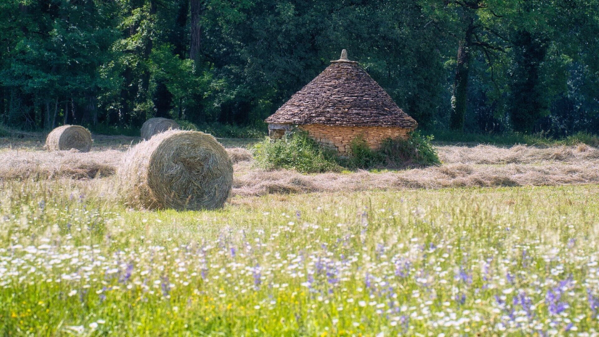 Un paysage rural avec une cabane au toit de chaume, entourée de bottes de foin et de fleurs sauvages.