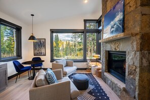 TV, fireplace