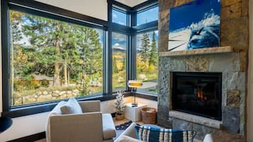 TV, fireplace, books