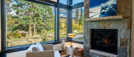 TV, fireplace, books