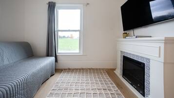 TV, fireplace, table tennis, computer monitors