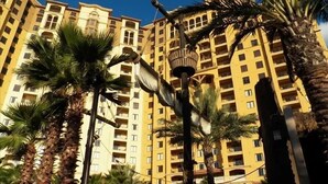 A high-rise building with multiple balconies and palm trees in the foreground. - Christmas time at Disney (Orlando)