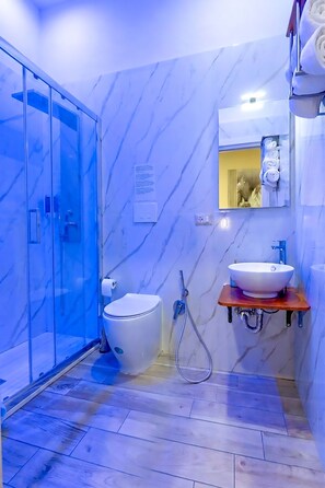 Een hydromassagedouche, een haardroger, een bidet