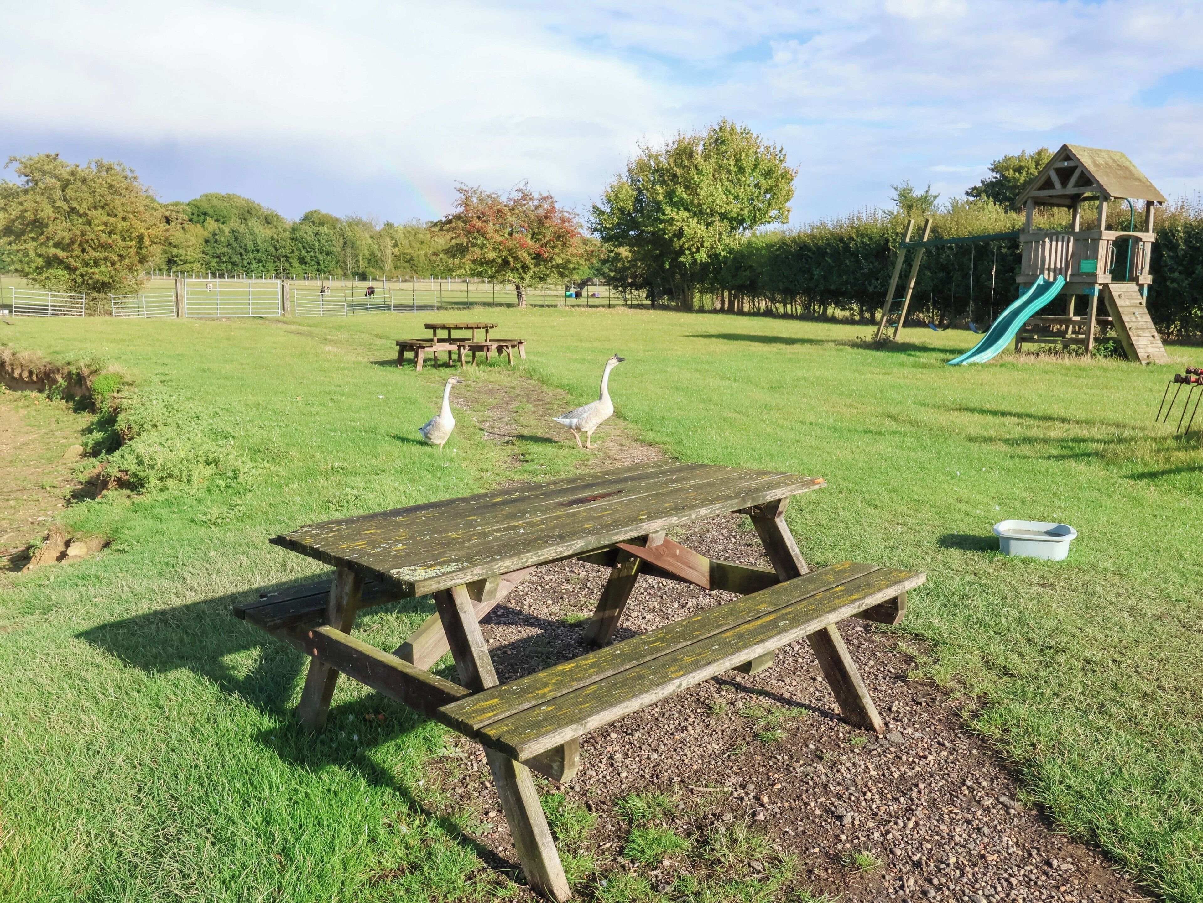 A picnic table in a grassy area with a playground and a wooden structure in the background.
