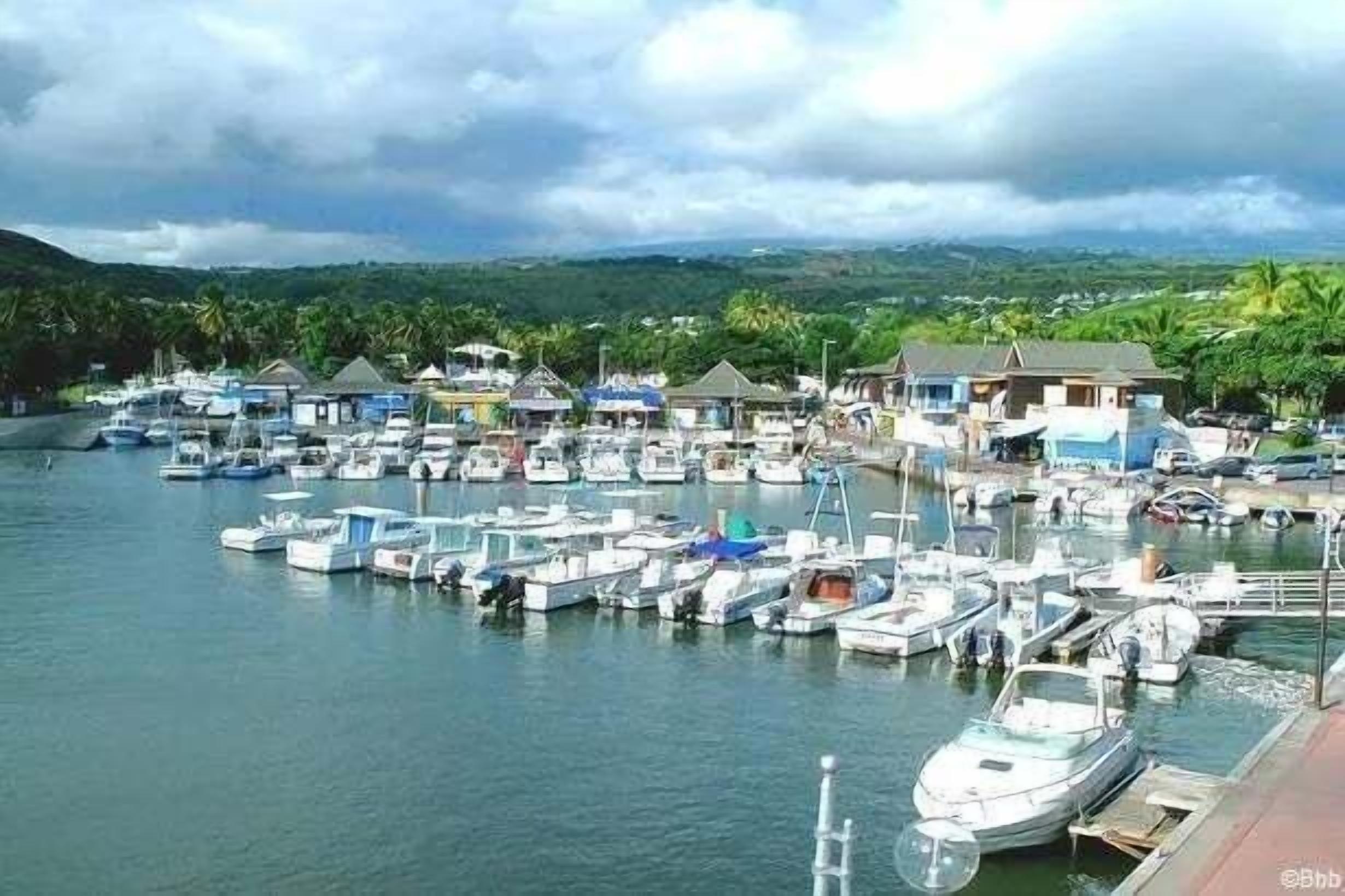 Un puerto deportivo con numerosas embarcaciones amarradas, rodeado de pequeños edificios y palmeras.