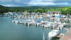 Un puerto deportivo con numerosas embarcaciones amarradas, rodeado de pequeños edificios y palmeras.