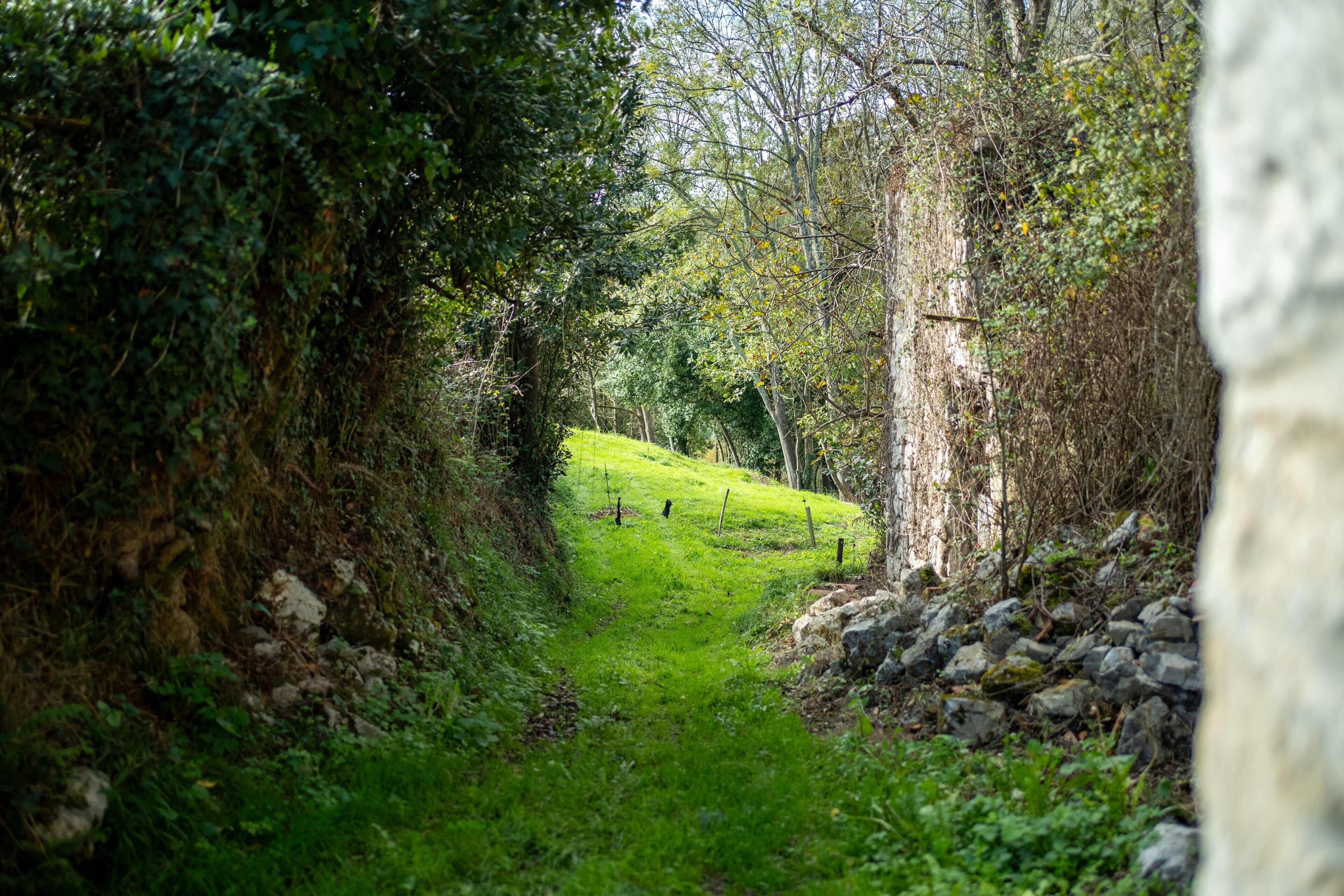 Áreas de la propiedad