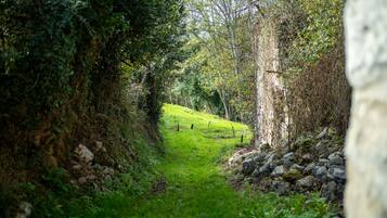 Áreas de la propiedad