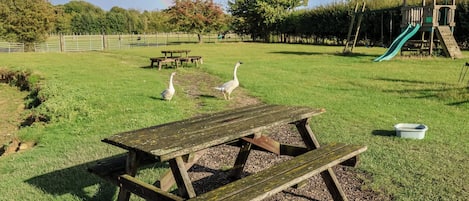 A picnic area with a wooden table and benches, a playground with a slide, and a fenced field with trees.