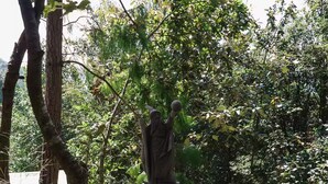 Una estatua en un jardín con follaje denso y un pedestal de piedra.