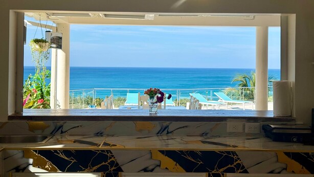 A kitchen with a view of the ocean, a marble countertop, and hanging plants.