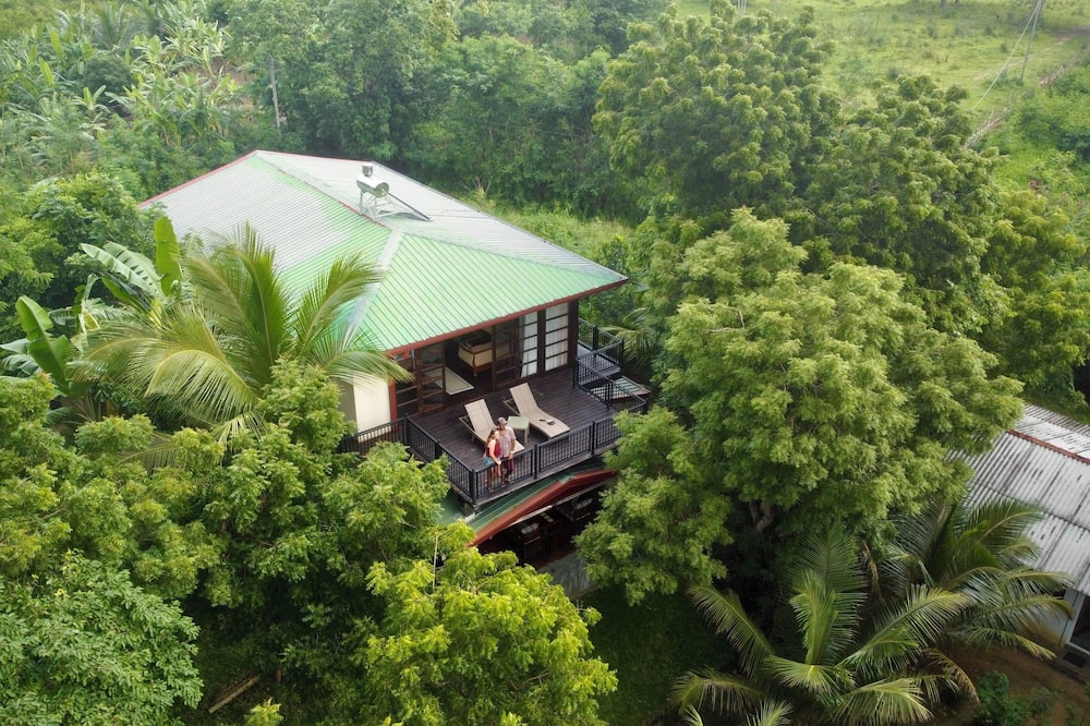 Jungle Paradise Hotel