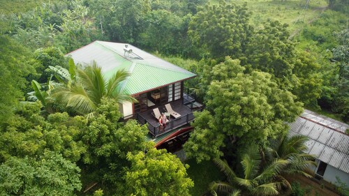 Jungle Paradise Hotel