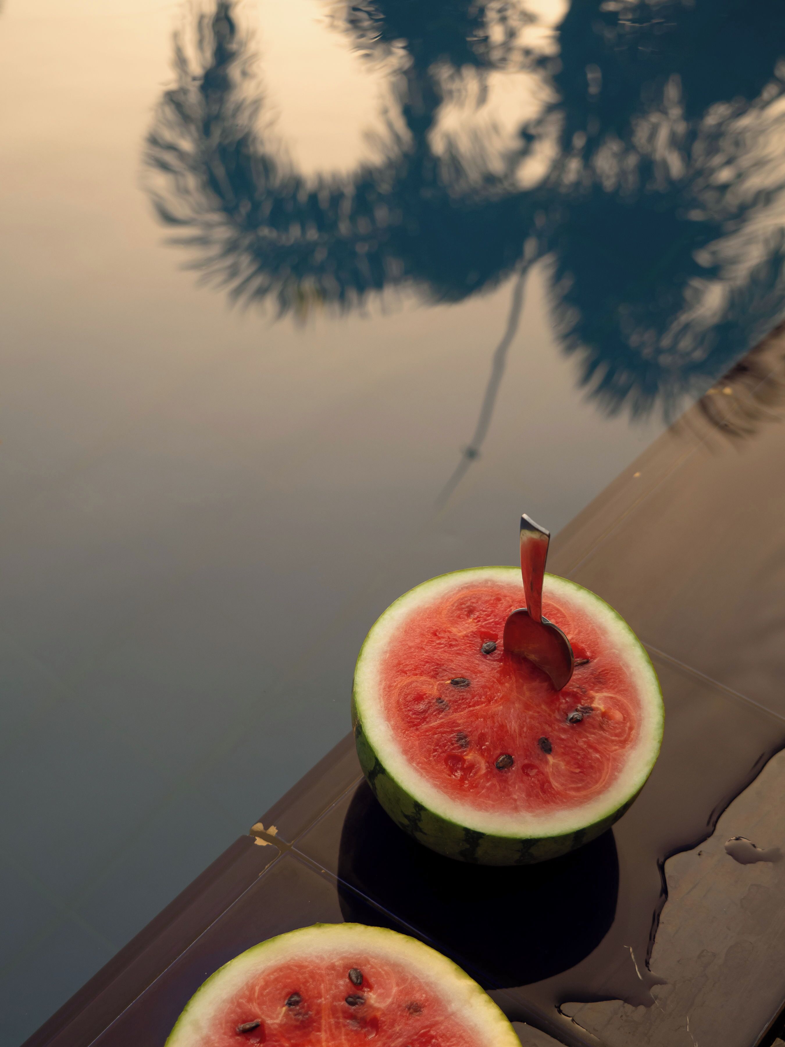 En halverad vattenmelon på en reflekterande yta, med en spegelbild av ett träd.