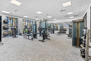 Un gimnasio moderno con diverso equipo de ejercicio, ventanas amplias y piso alfombrado.